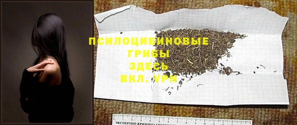 индика Инсар