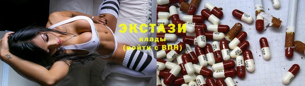 индика Инсар