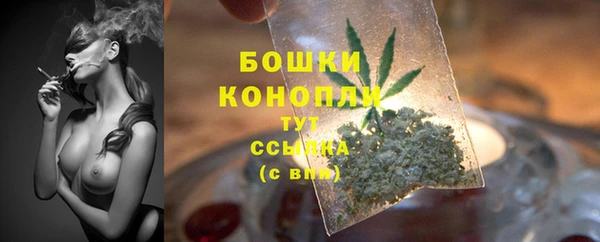 mdpv Инта