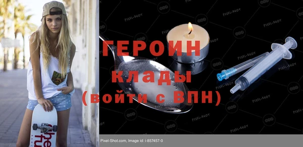 индика Инсар