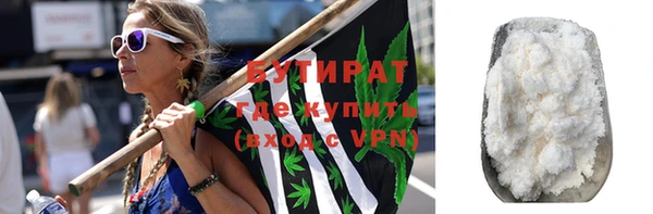 индика Инсар
