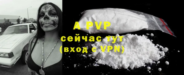 индика Инсар