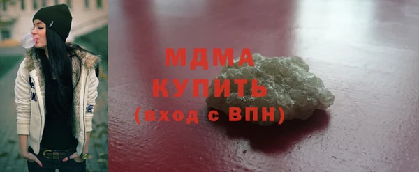 индика Инсар