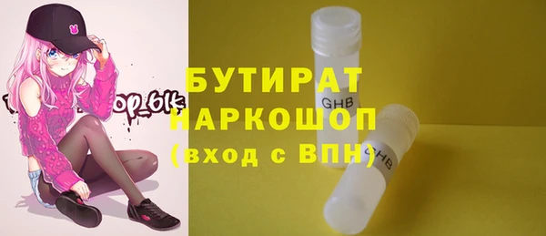 индика Инсар
