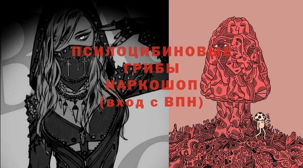 ECSTASY Иннополис