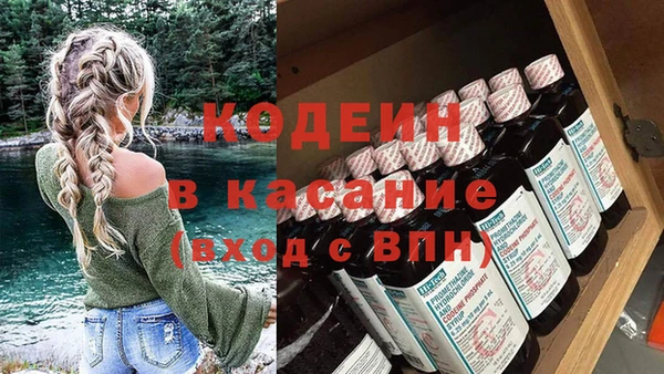 индика Инсар
