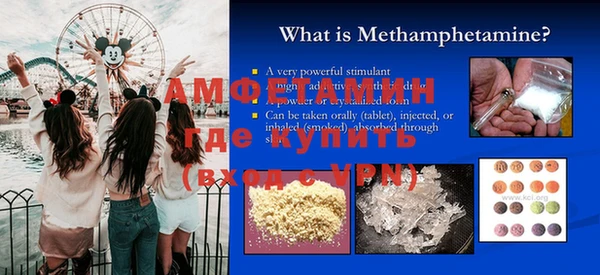 индика Инсар