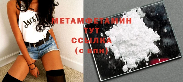 индика Инсар