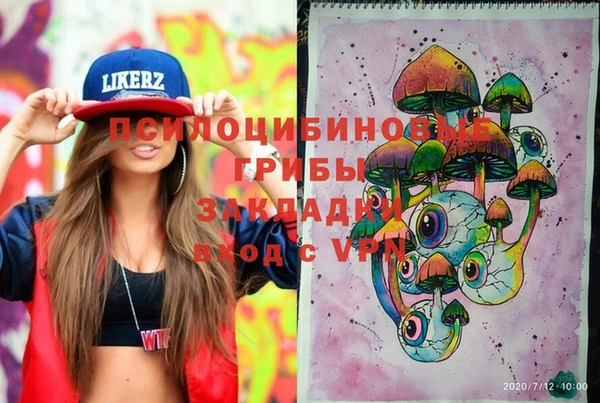 индика Инсар