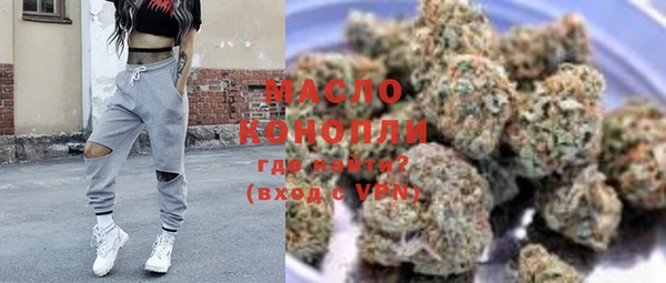 индика Инсар