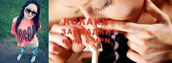 индика Инсар