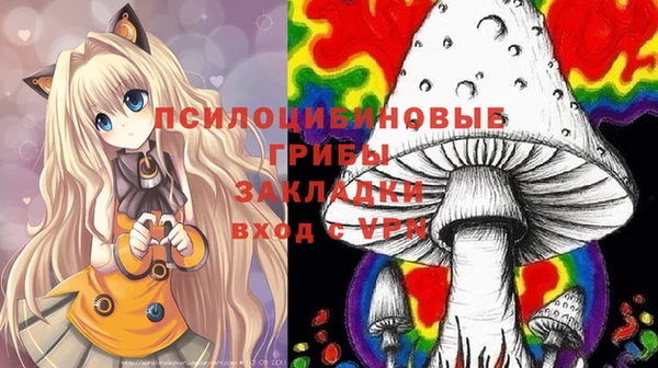 индика Инсар